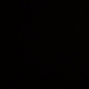 Meet your Posher, Giselle